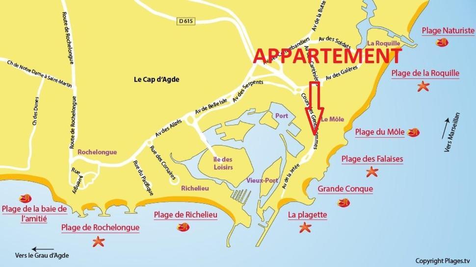Appartement Cap D'Agde 300M Plage Du Mole,Vue Port,Parking,Lave Linge,Piscine Extérieur photo