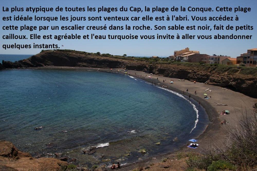 Appartement Cap D'Agde 300M Plage Du Mole,Vue Port,Parking,Lave Linge,Piscine Extérieur photo
